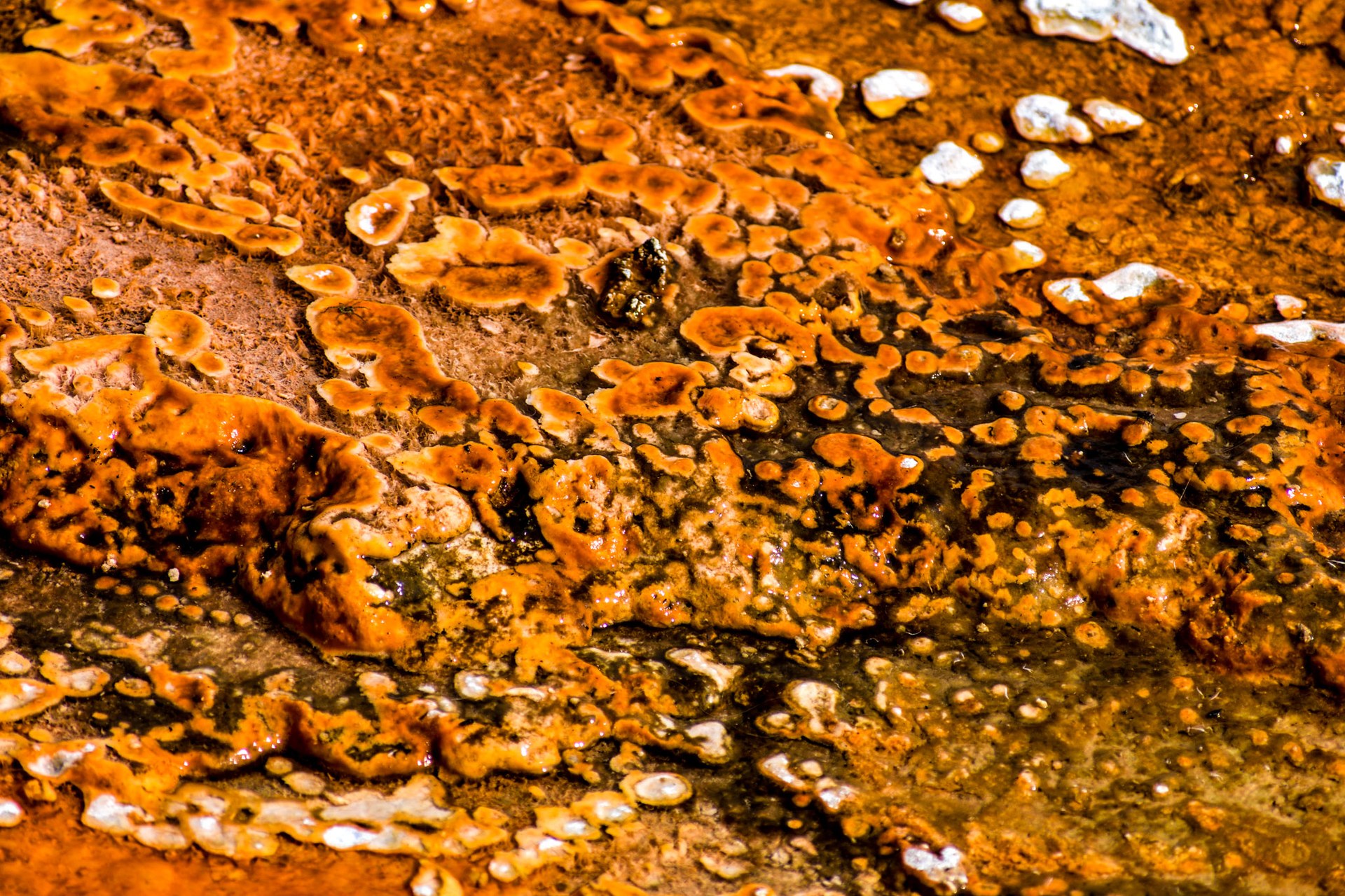 Ds0 0130 01127 26
