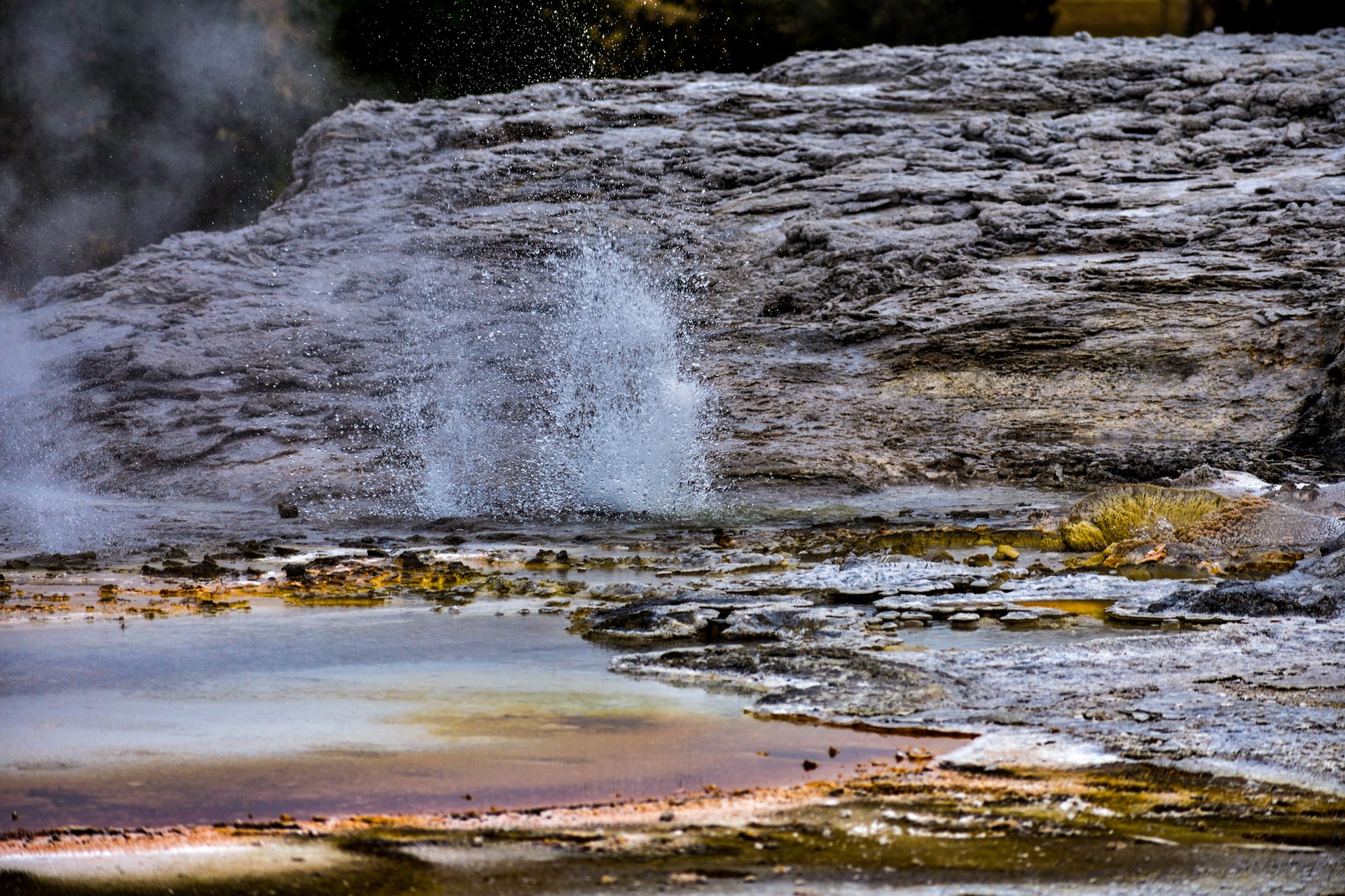 Ds0 0168 01164 41