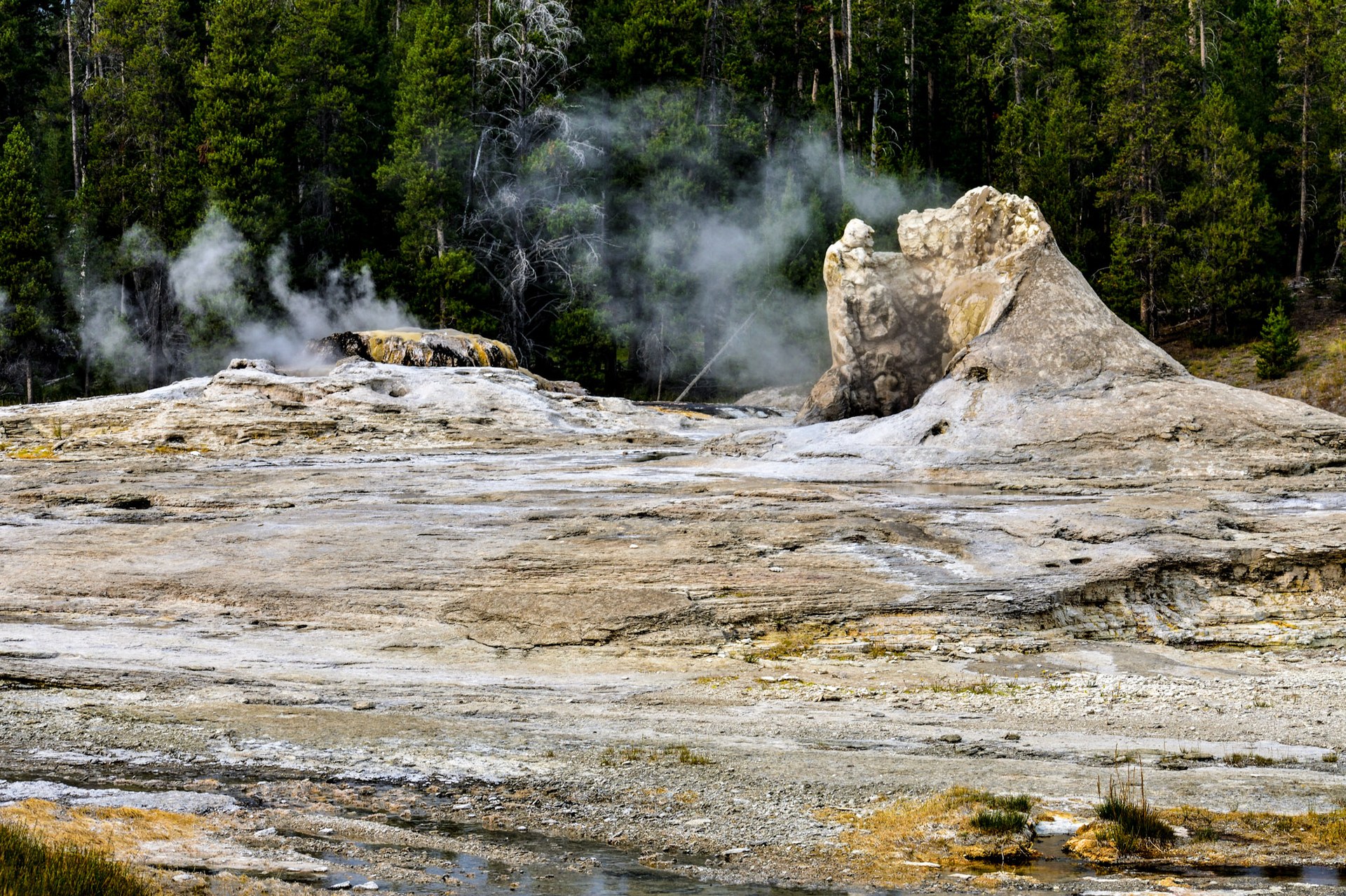 Ds0 0285 01277 64