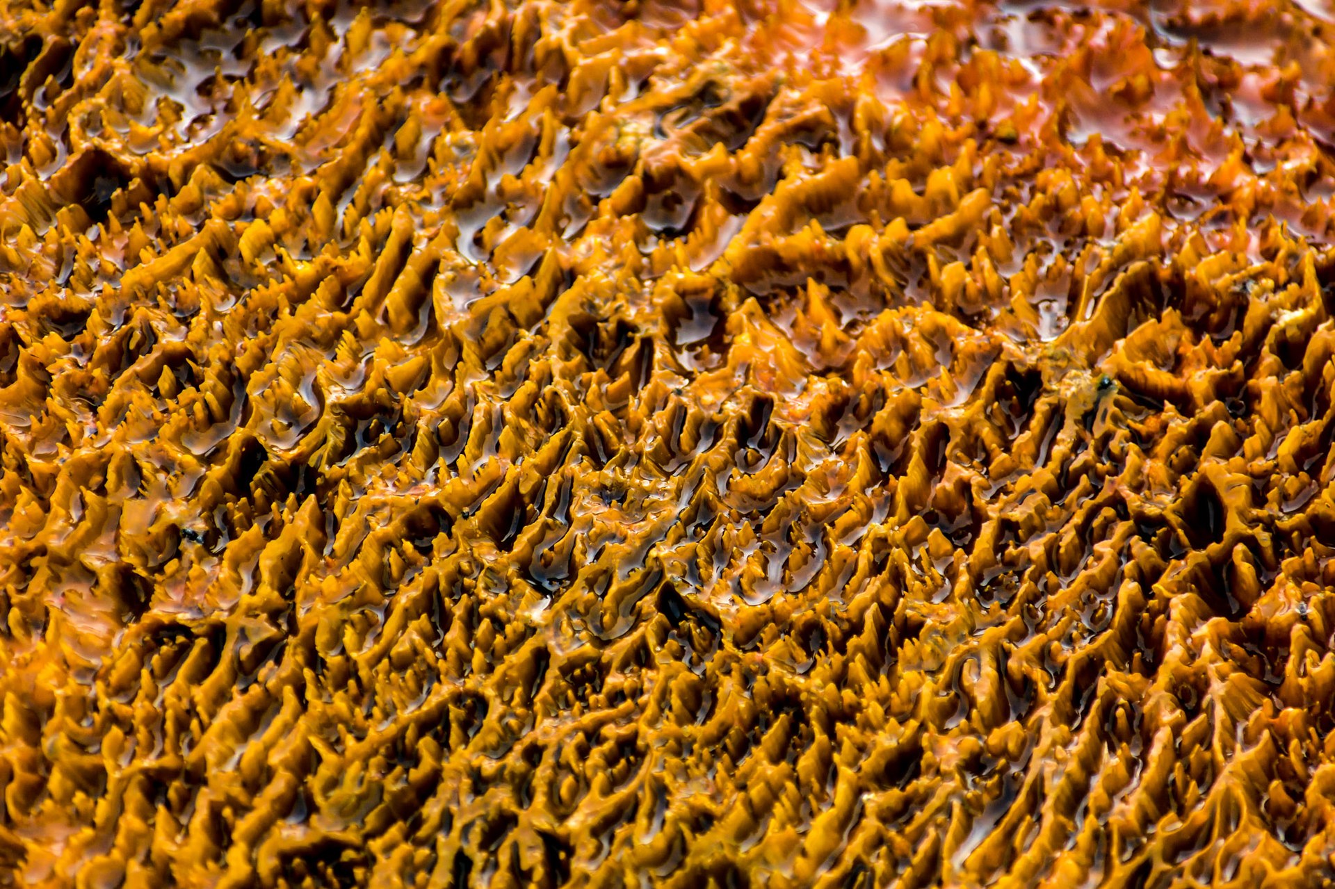 Ds0 0428 01418 78