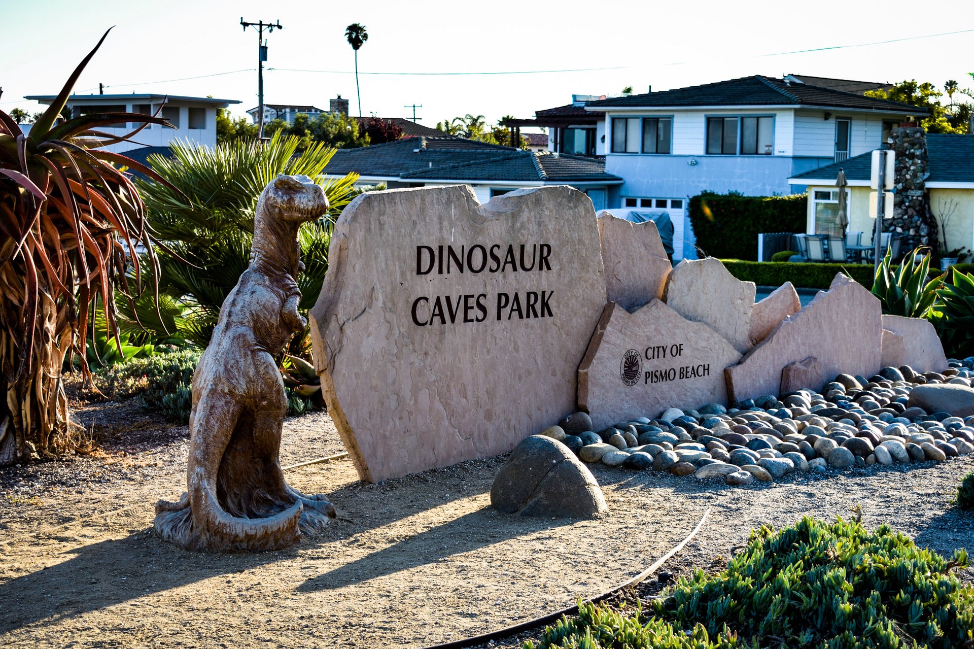 Dsc 0716 00029